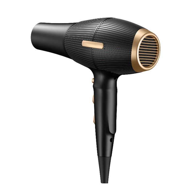 1200W Classic Hair Dryer support customization