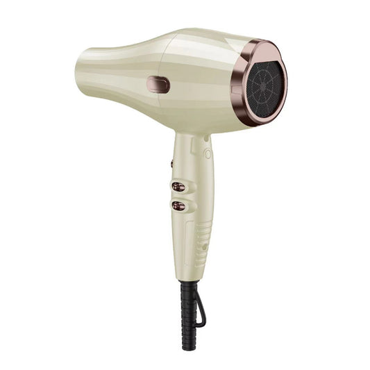 1600W Classic Hair Dryer, support customization