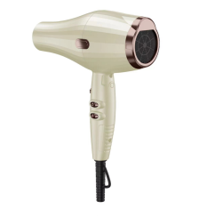 1600W Classic Hair Dryer, support customization