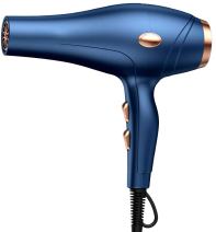 Professional Hair Blower Salon DC Motor Classic Hair Dryer