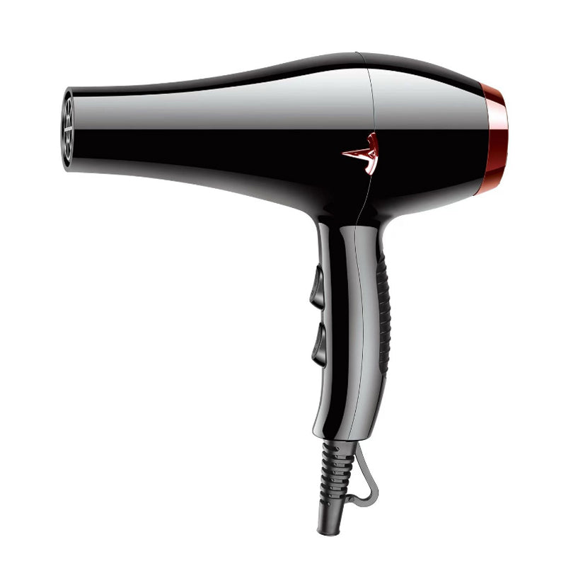 Professional Hair Blower Salon DC Motor New Model Hair Dryer