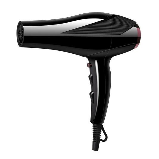 Professional Hair Blower Salon DC Motor Hair Dryer