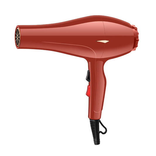 Professional Hair Blower Salon DC Motor Classic Hair Dryer