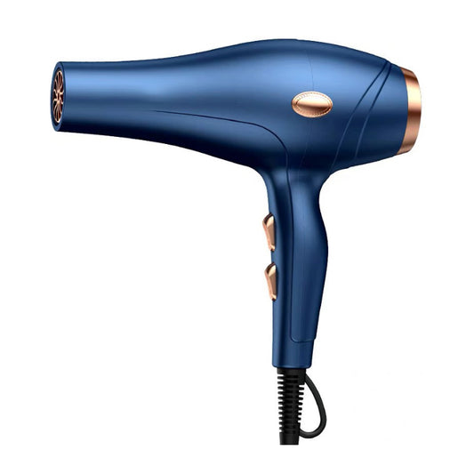 Professional Hair Blower Salon DC Motor Classic Hair Dryer